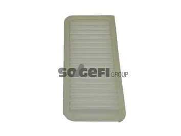 Air Filter (A2318)