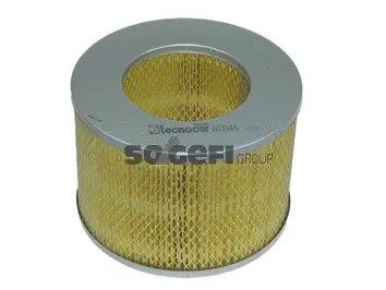 Air Filter (A2046)