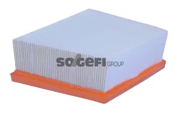 Air Filter (A2296)