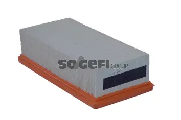 Air Filter (A2448)