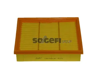 Air Filter (A2173)