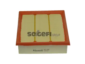 Air Filter (A2198)