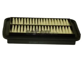 Air Filter (A2530)