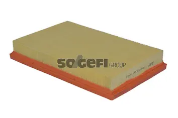 Air Filter (A2060)