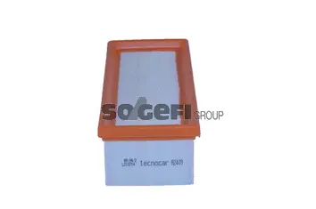 Air Filter (A2409)
