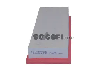 Air Filter (A2429)