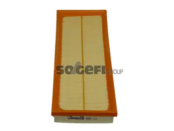 Air Filter (A463)
