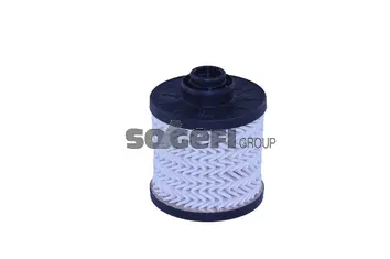 Fuel Filter (N615)