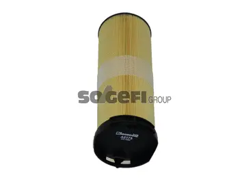 Air Filter (A2175)