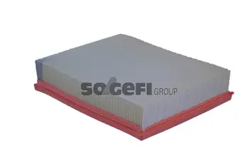 Air Filter (A2255)