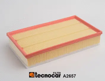 Air Filter (A2657)
