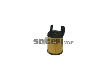 Oil Filter (OP239C)