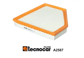 Air Filter (A2587)