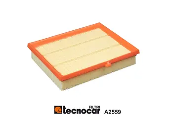 Air Filter (A2559)