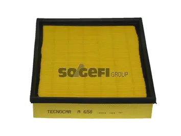 Air Filter (A658)