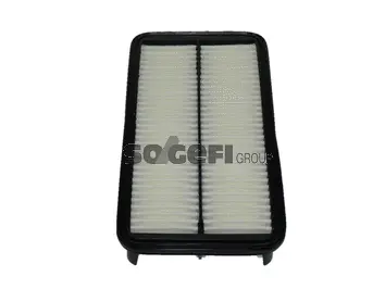Air Filter (A137)