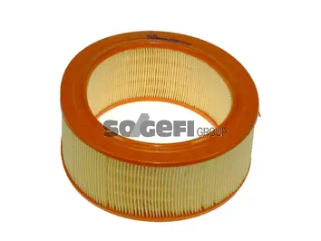 Air Filter (A333)