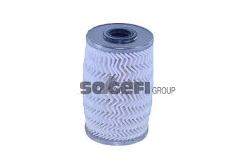 Fuel Filter (N307)