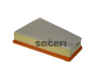 Air Filter (A2432)