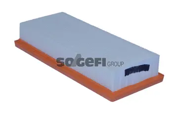 Air Filter (A2109)
