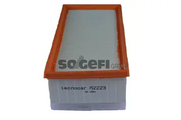 Air Filter (A2223)