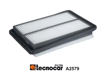 Air Filter (A2579)