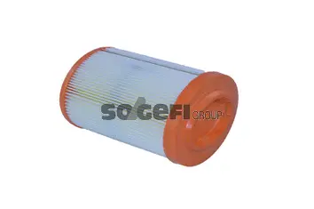 Air Filter (A2171)