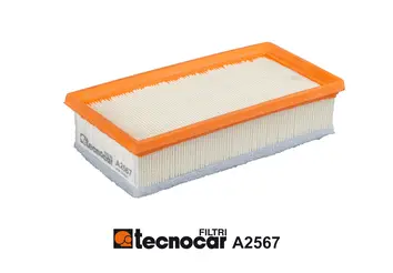 Air Filter (A2567)