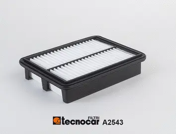 Air Filter (A2543)