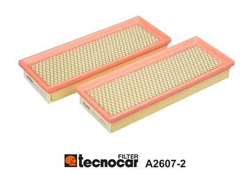 Air Filter (A2607-2)