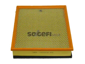 Air Filter (A918)
