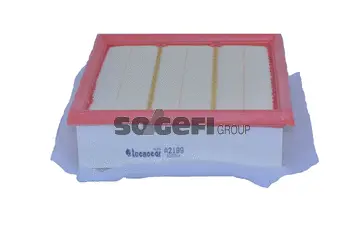 Air Filter (A2199)