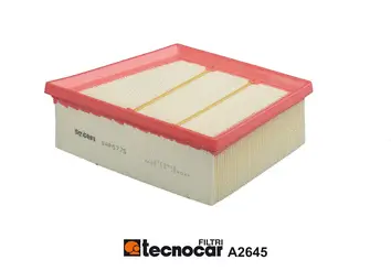 Air Filter (A2645)