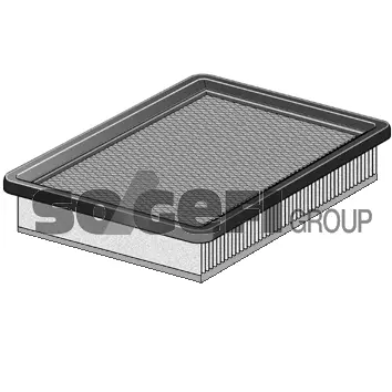 Air Filter (A2117)