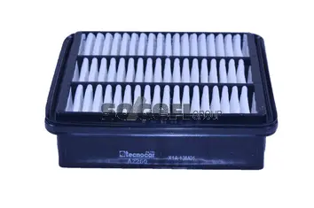 Air Filter (A2260)