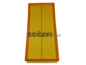 Air Filter (A291)