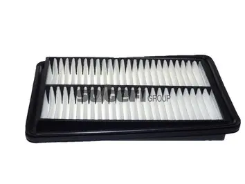Air Filter (A2542)
