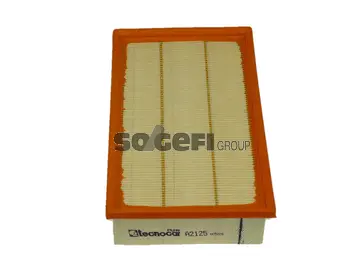 Air Filter (A2125)