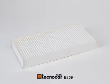 Filter, cabin air (E809)