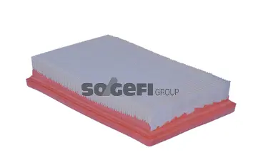 Air Filter (A2222)