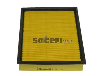 Air Filter (A209)