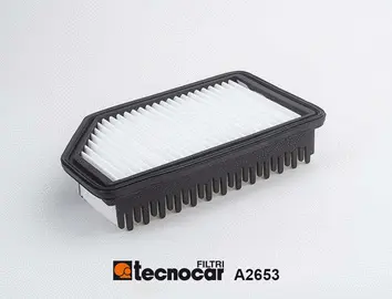Air Filter (A2653)