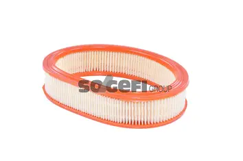 Air Filter (A6601)
