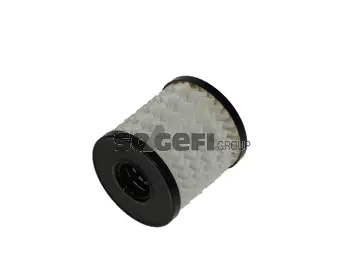 Oil Filter (OP251A)