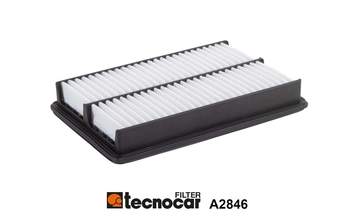 Air Filter (A2846)