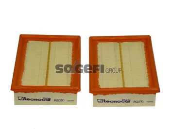 Air Filter (A2030-2)