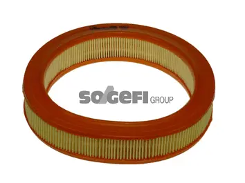 Air Filter (A667)