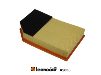Air Filter (A2835)