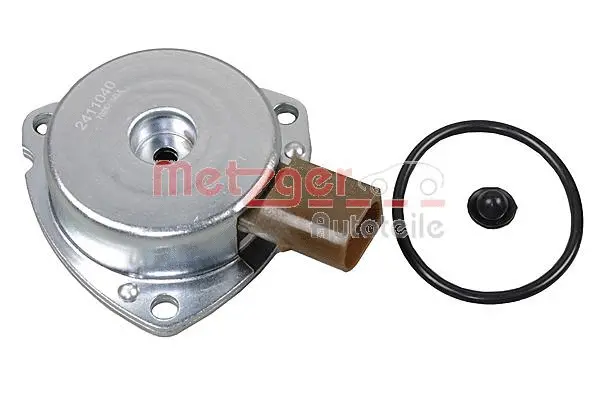 Central Magnet, camshaft adjustment (2411040)