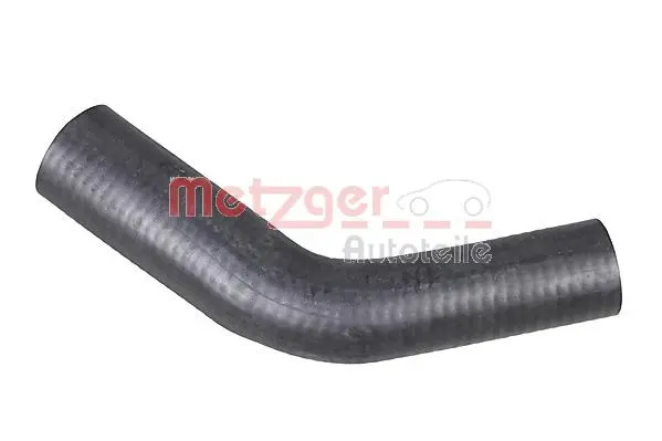 Radiator Hose (2421105)